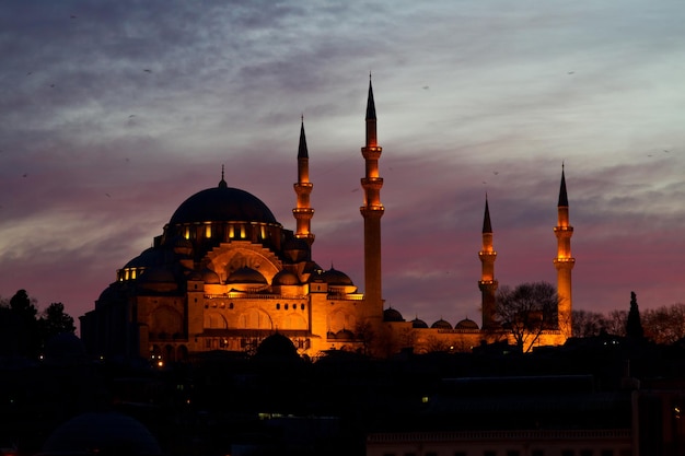 Mezquita de Süleymaniye Estambul Turquía