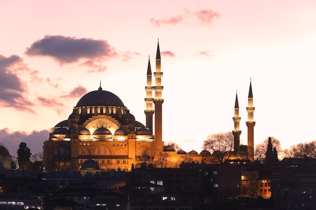 Mezquita de Suleymaniye en Estambul Turquía