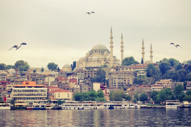 Mezquita de Süleymaniye a orillas del Bósforo en Istanbu