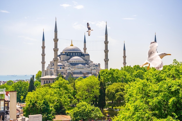 La Mezquita Sultanahmet o Mezquita Azul en el casco antiguo de Estambul, Turquía