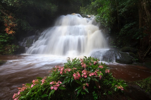 Mhundaeng cachoeira phu hin rong kla national park em phitsanulok tailândia