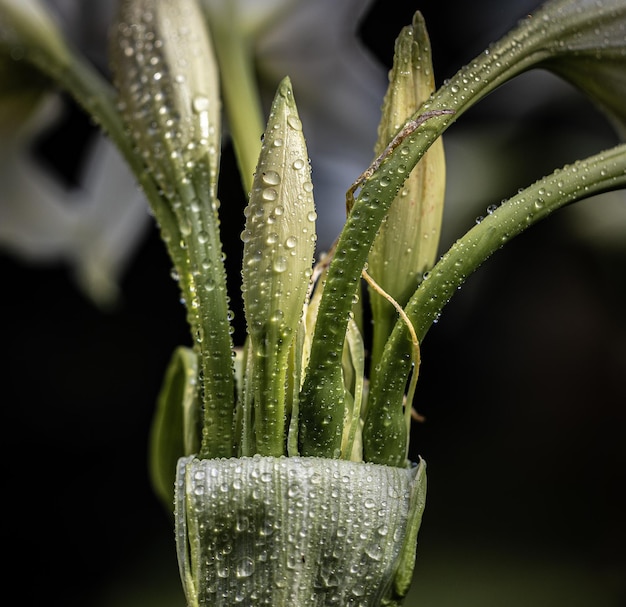 Mi particular visión de la Naturaleza que me rodea desde un punto de vista macro, con formas y texto