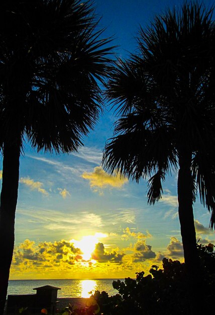 Miami Beach Flórida Estados Unidos da América