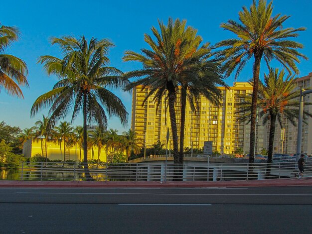 Miami Beach Flórida Estados Unidos da América