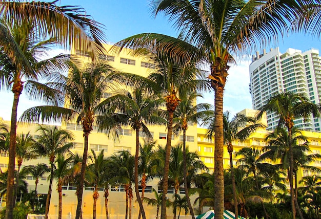 Miami Beach, Florida, Vereinigte Staaten von Amerika