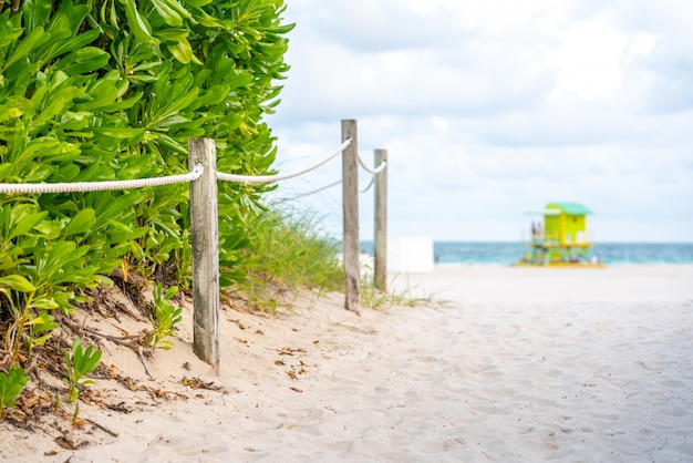 Miami beach na Flórida com fundo do oceano