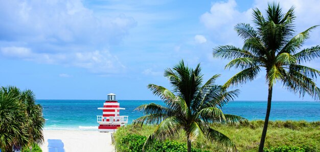 Miami beach con torre de salvavidas y costa con nubes de colores y cielo azul océano atlántico backg ...