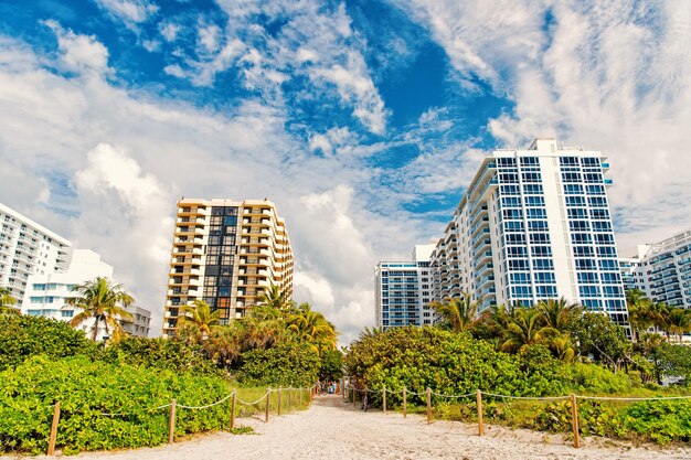 Miami. praia do sul. férias de verão, caminho de areia idílico da praia com palmeiras verdes para arranha-céus, prédios de apartamentos ou edifícios. horizonte da cidade. paisagem urbana