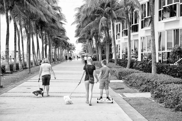 Miami USA 12. Februar 2016 Menschen Wanderer unterwegs am schönen Miami Beach mit Art-Deco-Architektur oder Hotelgebäude und Palmen grüne Farbe windig im Freien