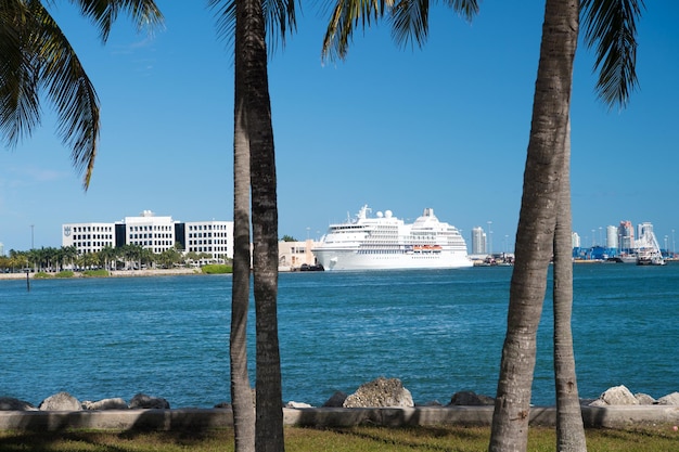 Miami, USA - 29. Februar 2016: Seven Seas Navigator auf tiefblauem Wasser und Himmel mit Palmen im Vordergrund. Abenteuer und Entdeckung. Reisen und reisen. Reise und Reise. Fernweh. Sommerurlaub.