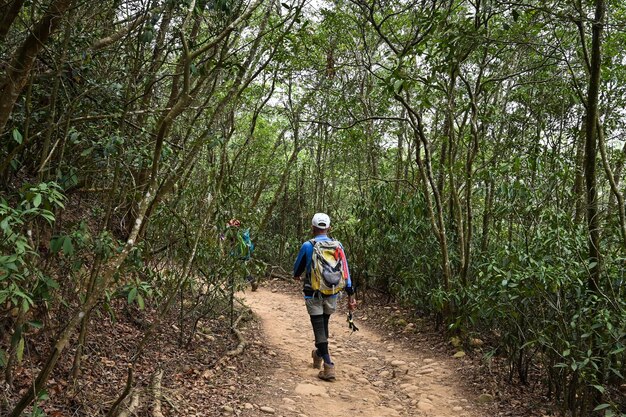 Miaoli Taiwán 12 DE ABRIL DE 2021 Gente haciendo senderismo en las montañas
