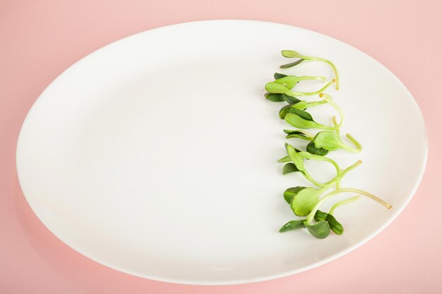 Micro greens en un plato blanco microgreen semillas de girasol concepto de comida saludable de jardín fresco