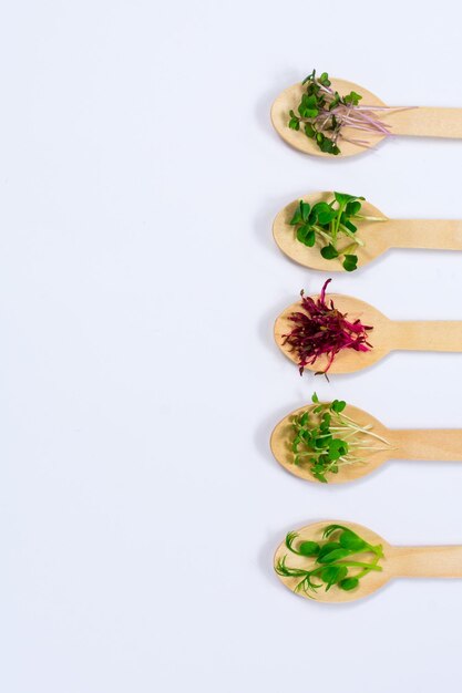 Micro verduras de guisantes repollo rojo amaranto mostaza rábano en surtido en cucharas de madera sobre un fondo blanco Comida vegana adecuada Lugar para una inscripción