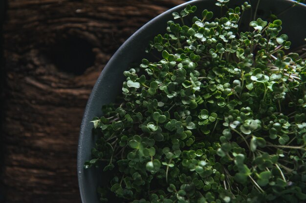 Microgreen em um prato cinza em um rústico de madeira