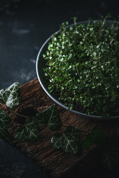 Microgreen em um prato cinza em um rústico de madeira