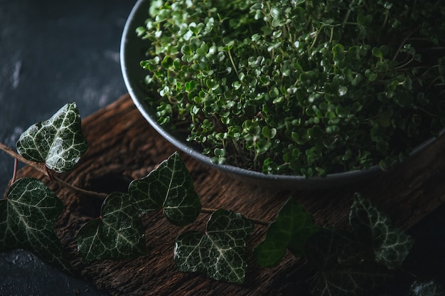 Microgreen em um prato cinza em um rústico de madeira