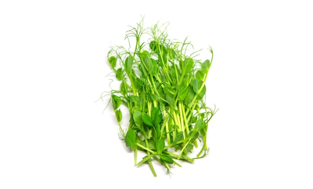 Foto microgreen erbsen auf einem weißen hintergrund. selektiver fokus. natur.