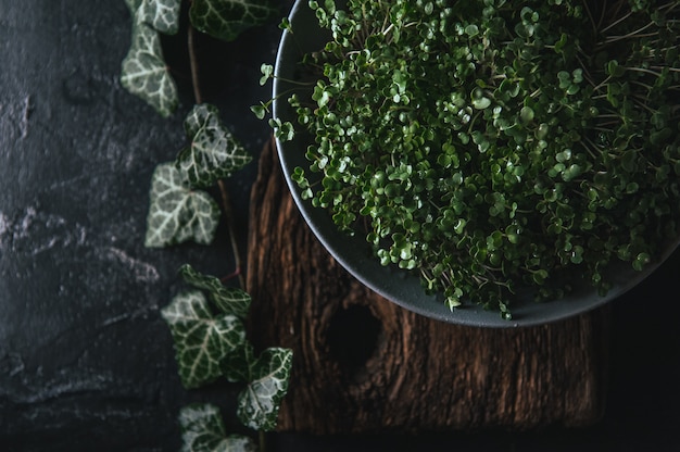 Microgreen in einem grauen Teller auf einem hölzernen rustikalen