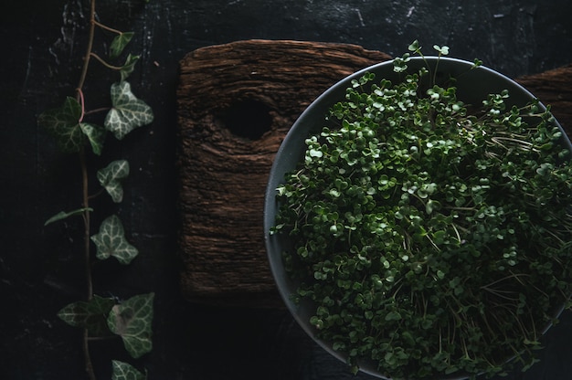 Microgreen en un plato gris sobre una madera rústica