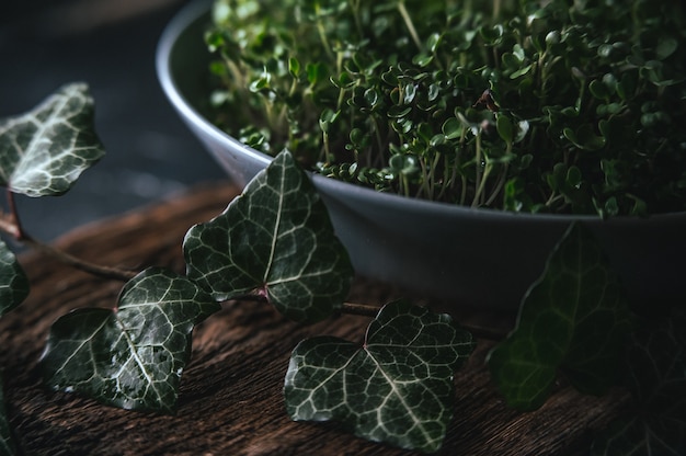 Microgreen en un plato gris sobre una madera rústica