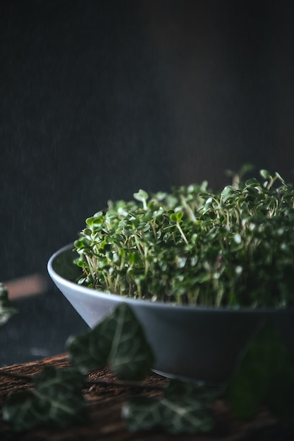 Microgreen en un plato gris sobre una madera rústica