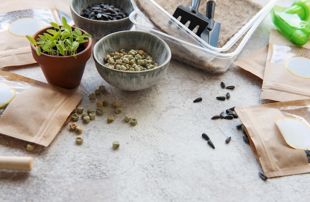 Microgreen-Samen in Papiertüten und Ausrüstung für die Aussaat von Microgreens