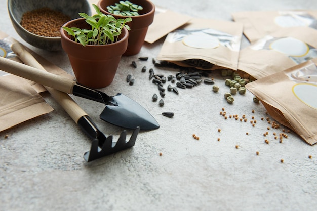 Microgreen-Samen in Papiertüten und Ausrüstung für die Aussaat von Microgreens