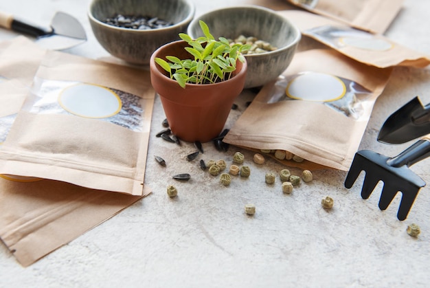 Microgreen-Samen in Papiertüten und Ausrüstung für die Aussaat von Microgreens