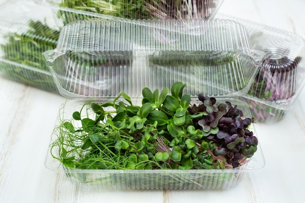 Microgreens alimentos saludables alimentos orgánicos súper caja de alimentos con brotes jóvenes frescos en tablero de madera blanca