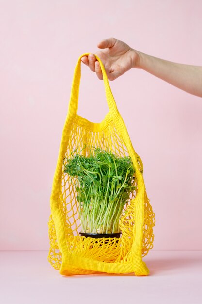Microgreens en una bolsa en maceta, bolsa de compras o bolsa de papel, comida verde vegana saludable y deliciosa para una alimentación saludable, almuerzo para toda la familia, menú vegetariano de alimentación saludable