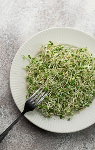 Microgreens cultivados en un frasco Comida saludable