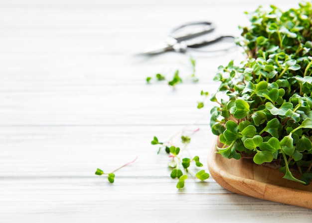 Microgreens de rabanete vermelho em uma mesa de madeira branca