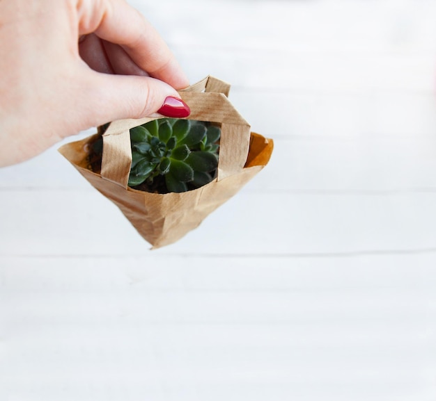 Microgreens frescos en envases de papel en una mano femenina Comida saludable