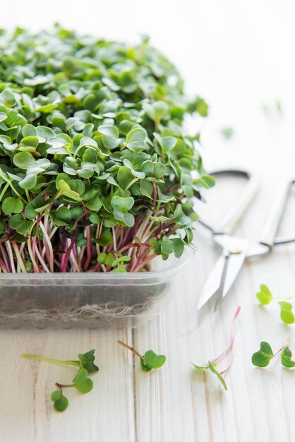 Microgreens frescos na caixa