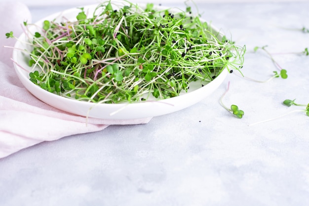 Microgreens frescos en un plato blanco con una servilleta, de cerca.