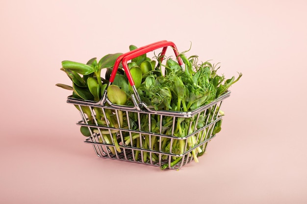 Microgreens in einem Korb auf rosafarbenem Hintergrund Verkauf verschiedener Arten von Microgreens, gesunde Lebensmittelkonz...