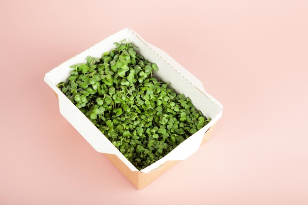 Microgreens in einer Einwegpackung aus Ökopapier aus Sonnenblumenkerne Idee für eine gesunde vegane Lebensmittellieferung