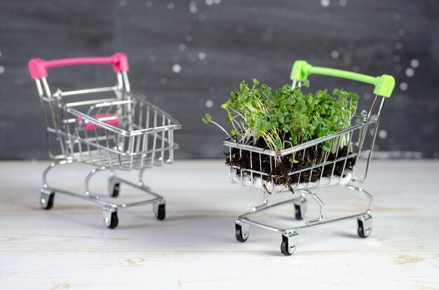 Microgreens no carrinho de compras