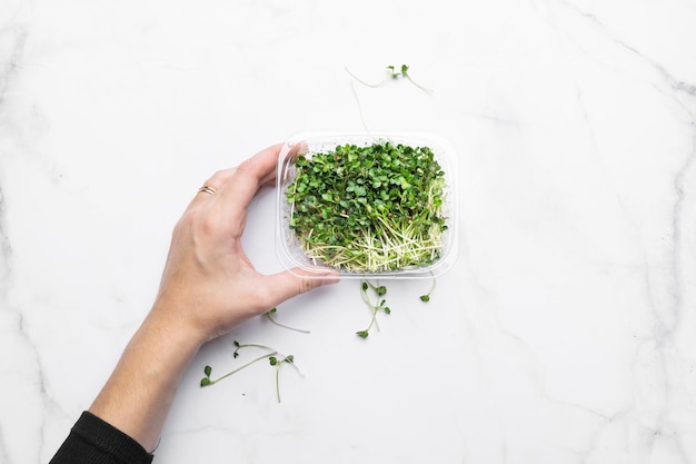 Microgreens Schüssel auf weißem Marmortisch