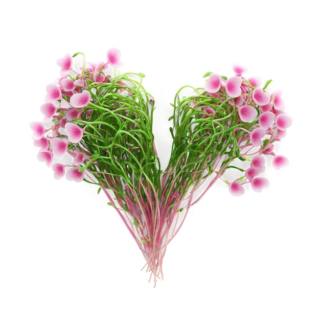 Foto microgreens de trigo sarraceno fagopyrum esculentum hojas verdes en forma de corazón con tallos rosados elegantemente