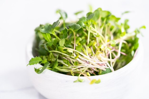 Microgreens