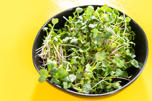 Foto microgreens