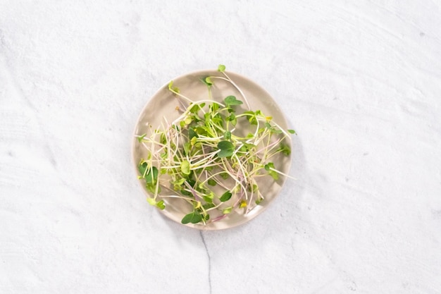 Microgreens