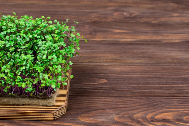 Microvegetales caseros de repollo rojo en una tabla de cortar sobre una mesa de madera El concepto de comida vegana adecuada Vista desde arriba Lugar para una inscripción