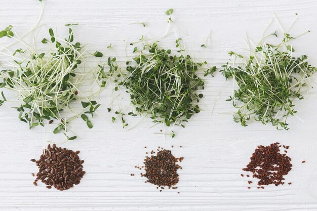 Foto microverde de rúcula, albahaca, lino, berro y semillas en la vista superior de madera blanca