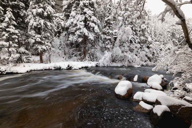 Middle St Vrain Creek Raymond CO (em inglês)