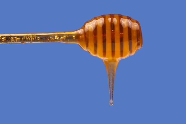 Miel fresca que gotea de una cuchara sobre un fondo azul. alimentos saludables con vitaminas orgánicas