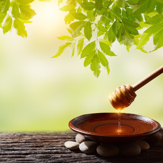 La miel gotea de un cucharón de miel en un recipiente. Miel natural saludable sumergió miel de cuchara de madera de primer plano