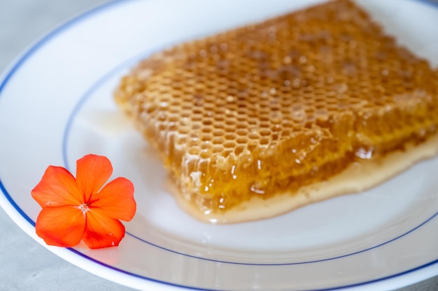 Miel natural con rosas y cítricos