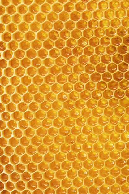 Foto miel con panales en el fondo de las celdas de marcos de abejas brillo de miel al sol